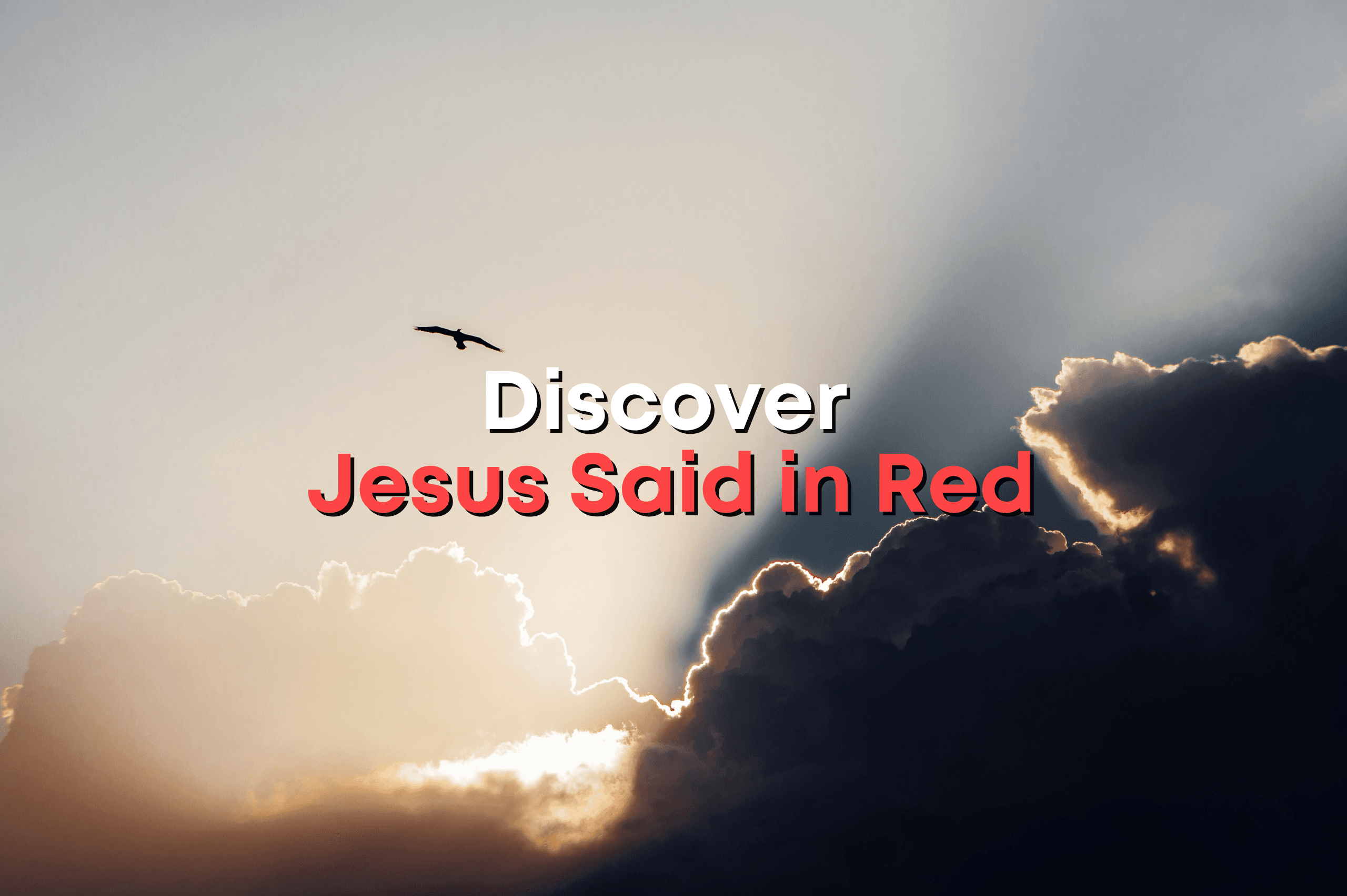 Discover Jesus Said in Red
