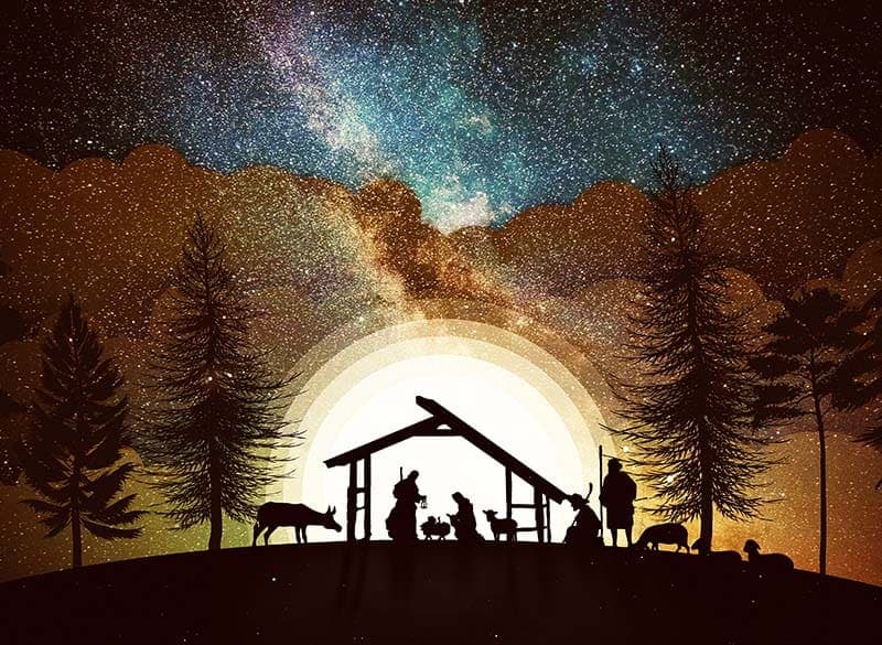 Shut Out, Not Shut Down