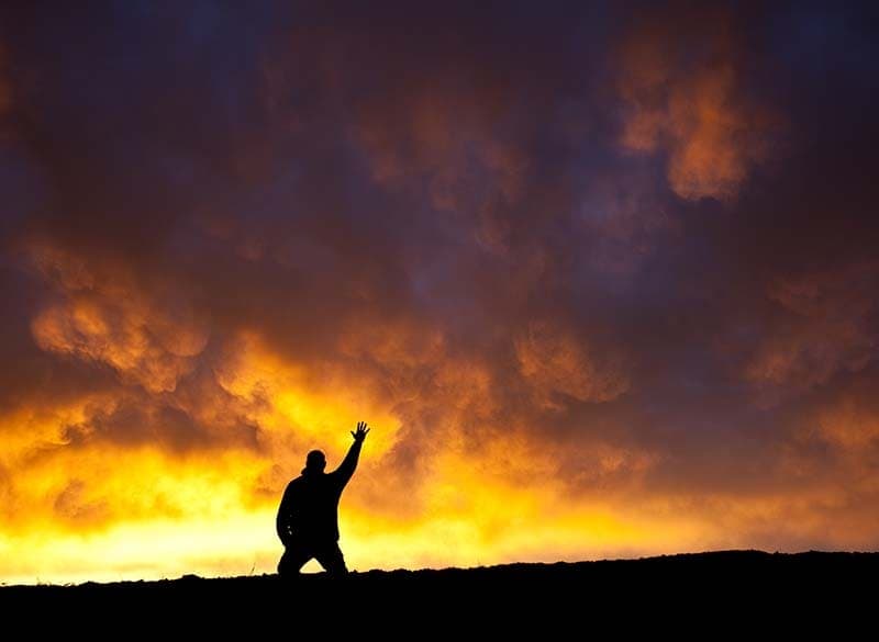 Every Knee Will Bow