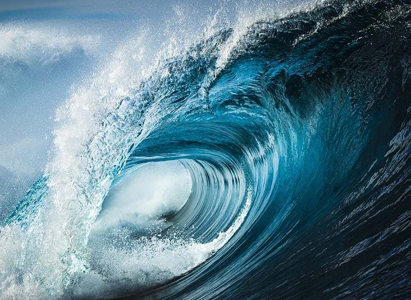 Kiss the Wave that Throws You