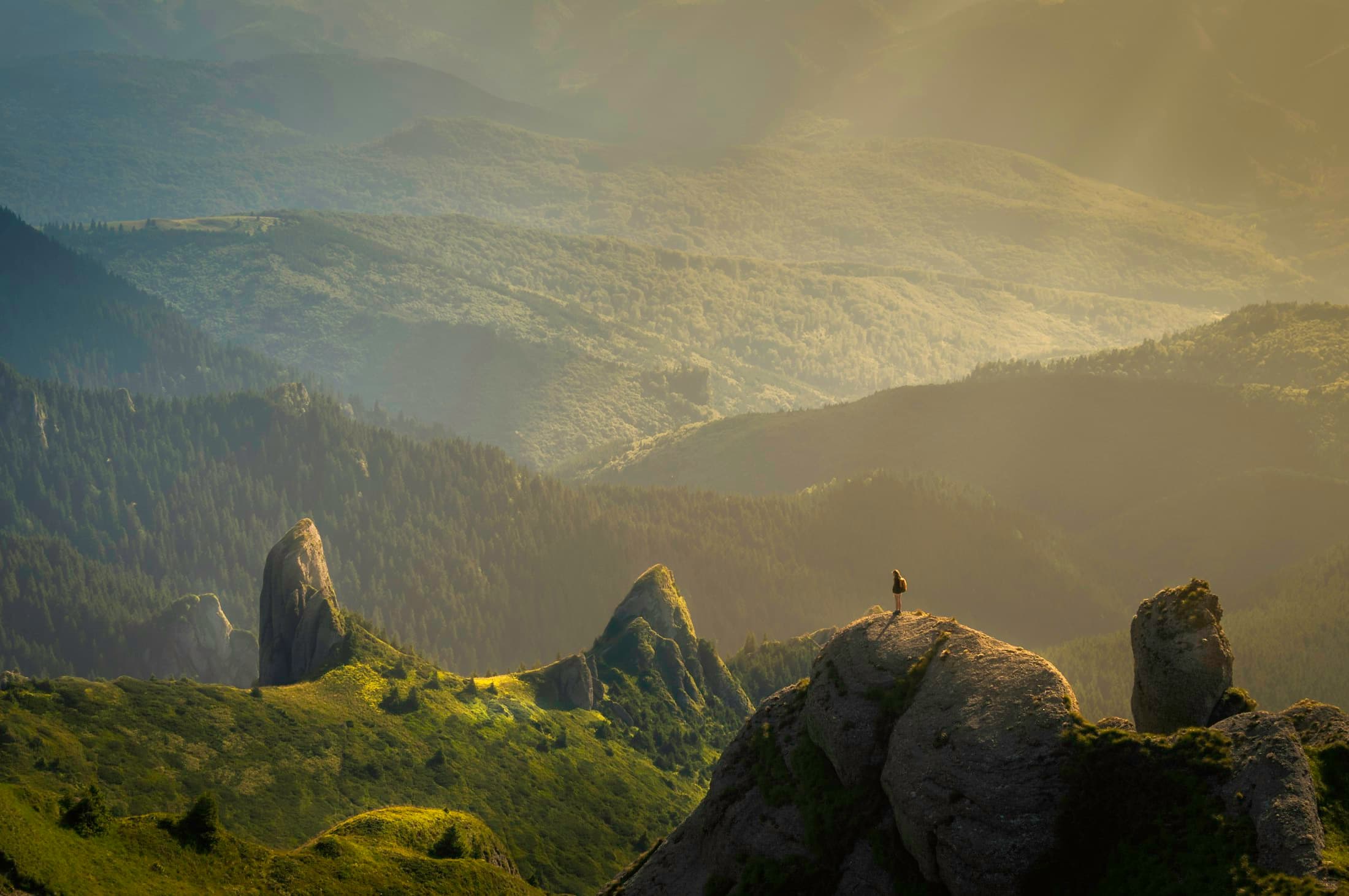 Soft landscape background